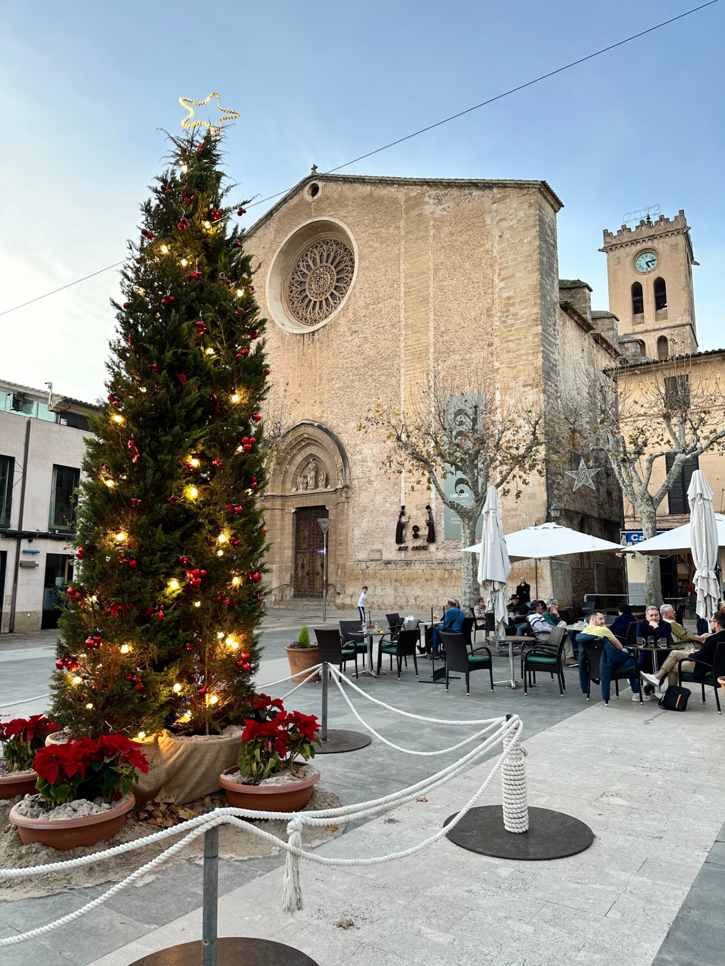 Christmas tree with poinsettias in front of the church of Nostra Senyora dels Àngels, Pollença