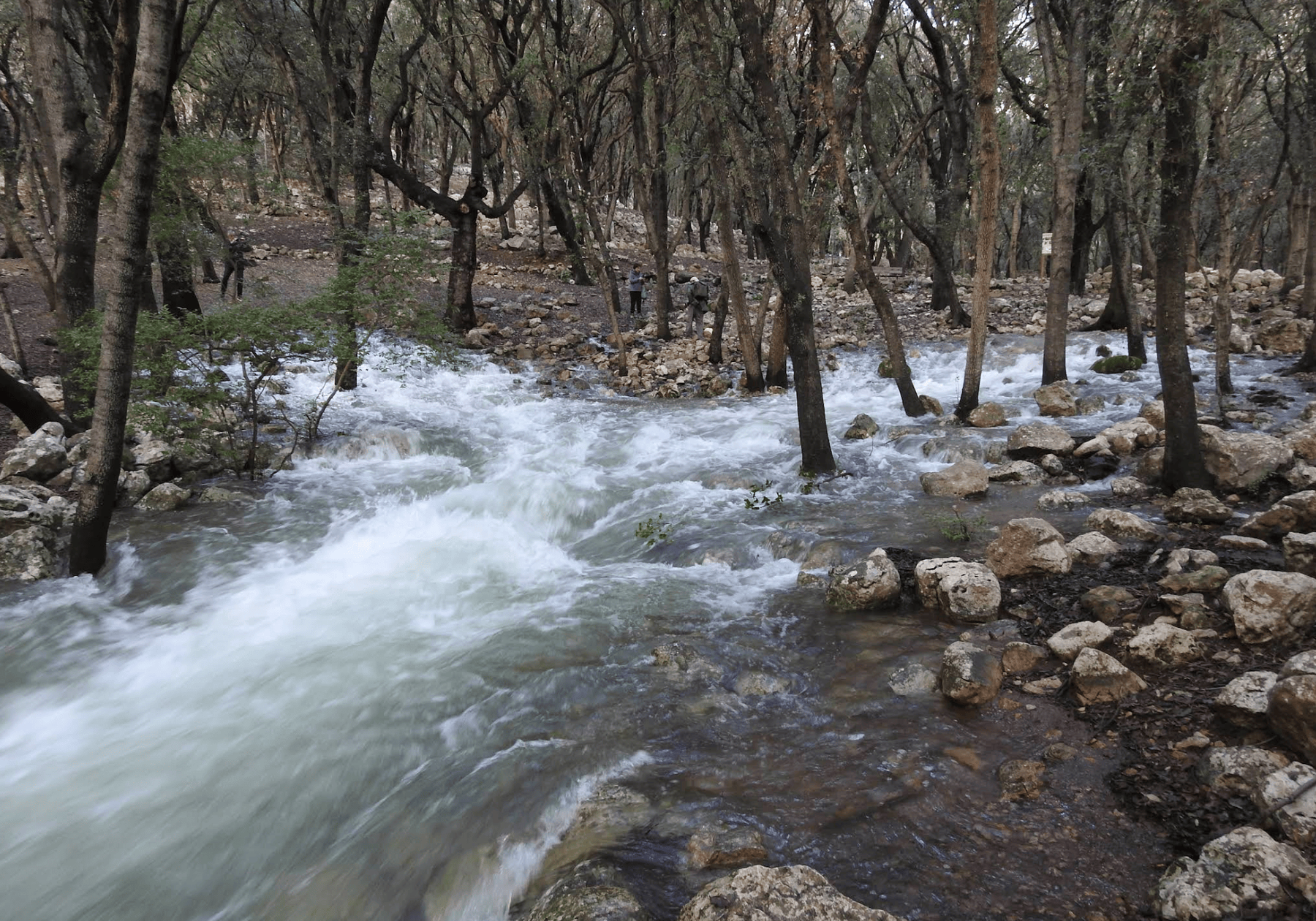 Natural spring phenomenon