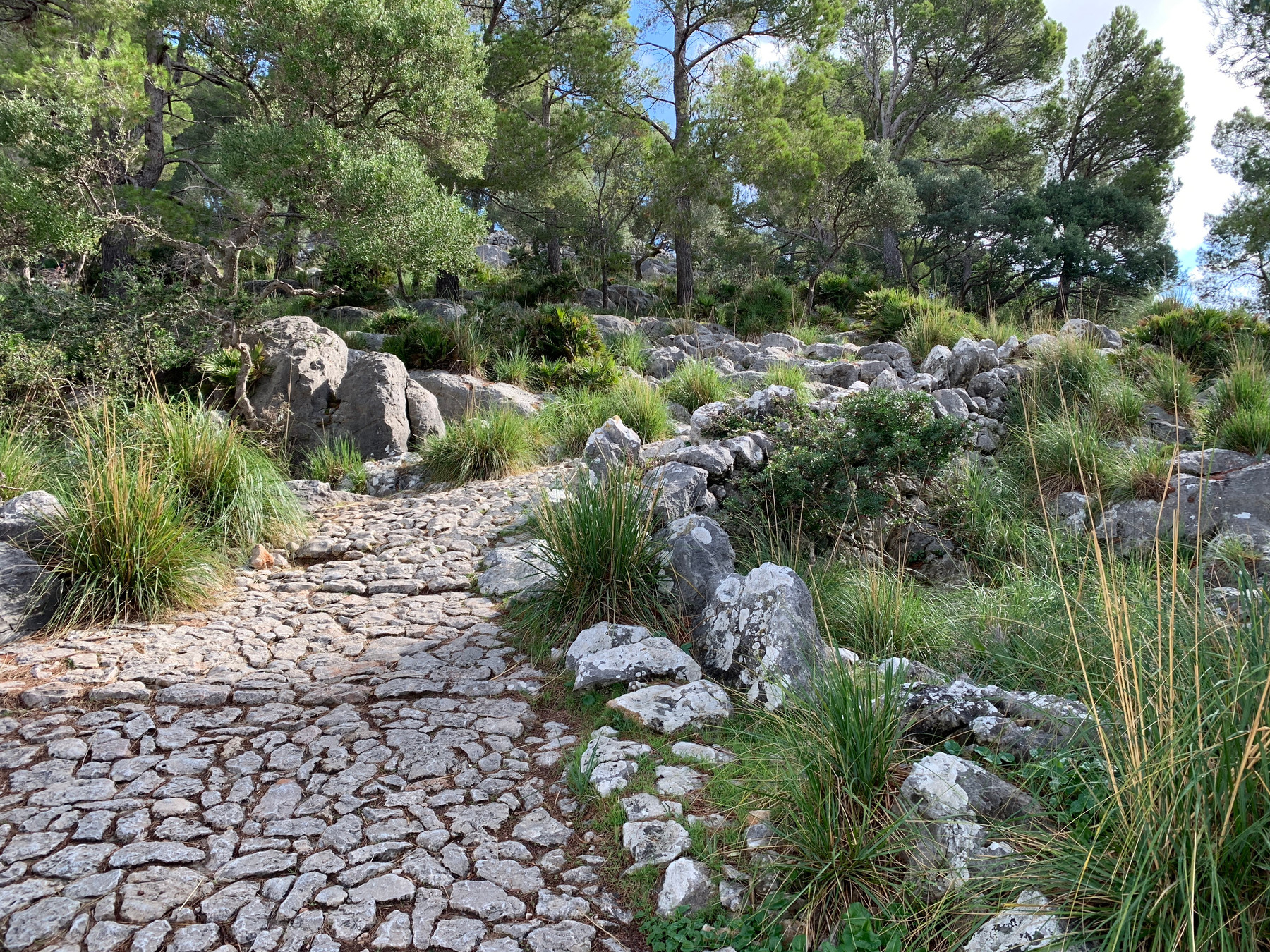 Puig de Maria Walk Mallorca